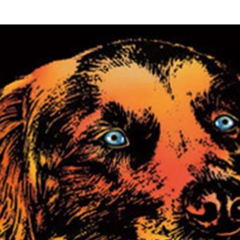 Art And Craft With Paint - Animals Scratch Art for Teen &