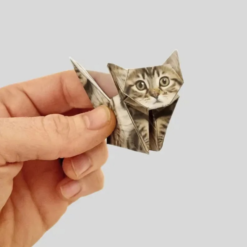 Creative DIY Paper Cats 50 She - Art Craft Cat recension och pris