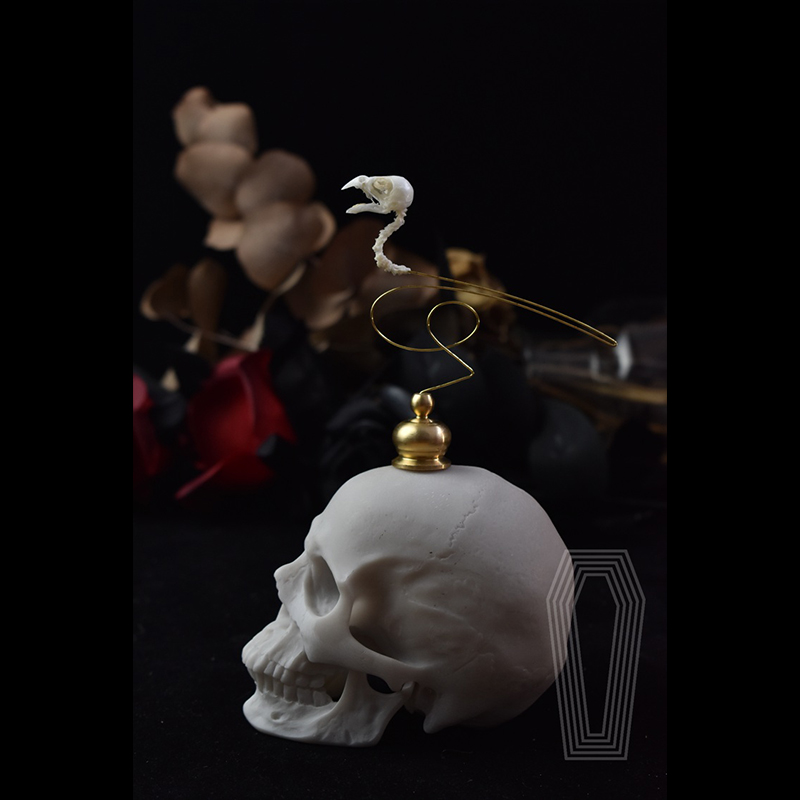 2111 Boutique Ethical Bird Sku - Art Craft Museum recension och pris