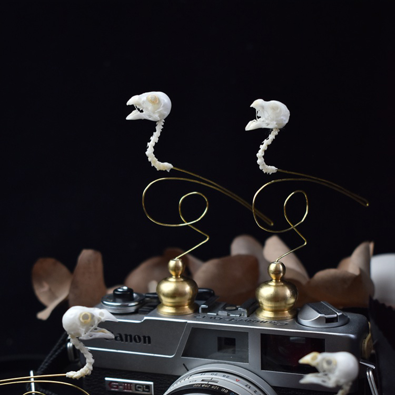 2111 Boutique Ethical Bird Sku - Art Craft Museum recension och pris